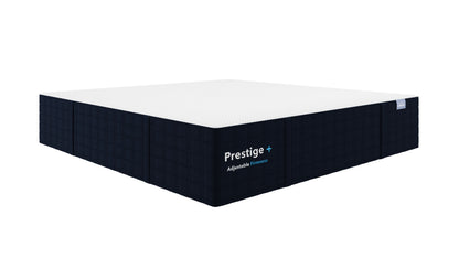 Prestige+