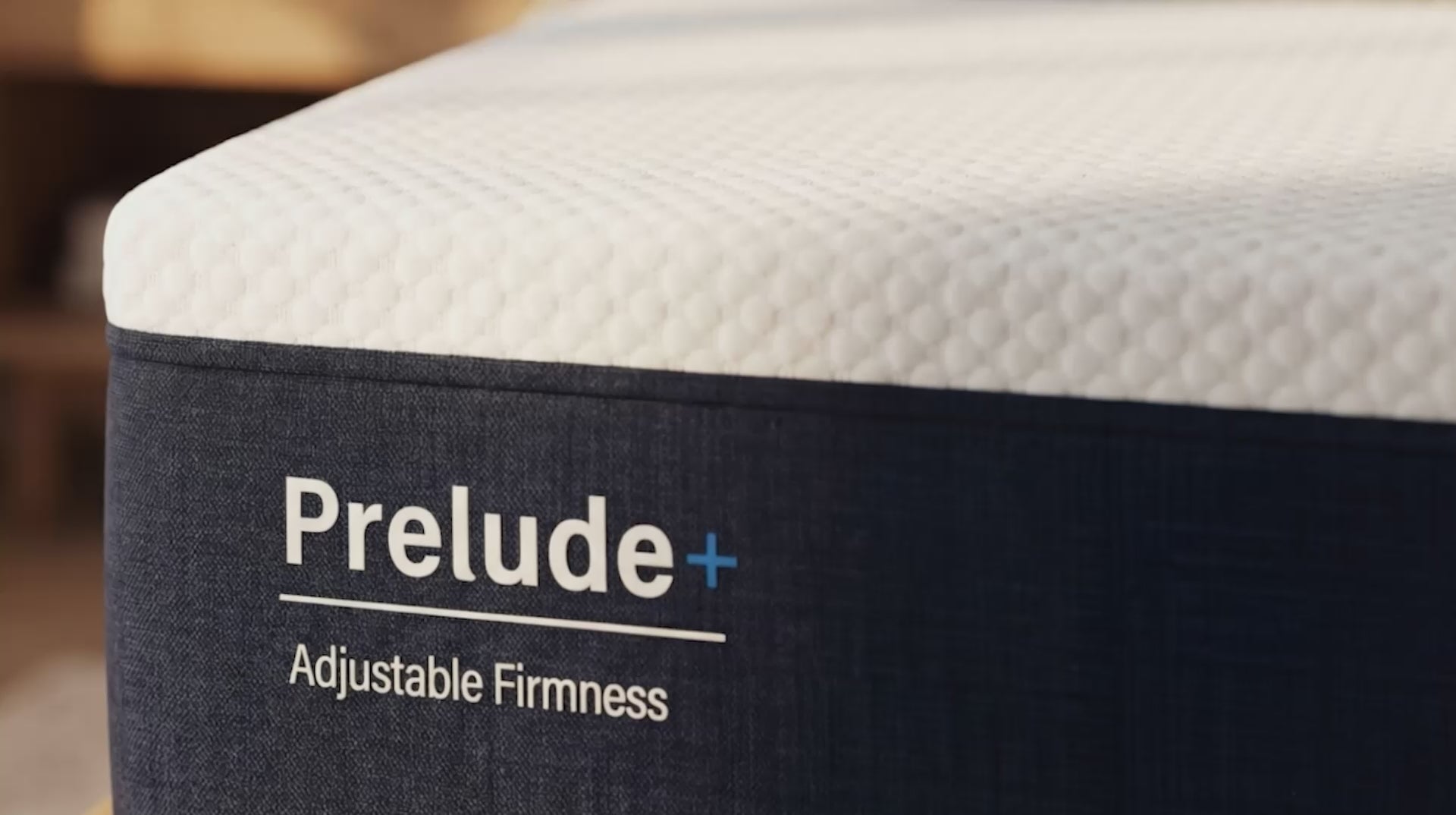 Homepage Promotional Video of Prelude+